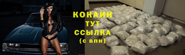 сатива Касимов