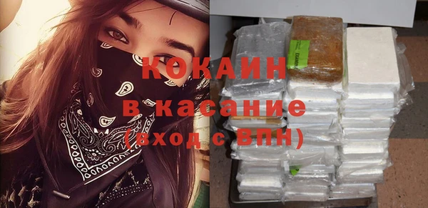 сатива Касимов